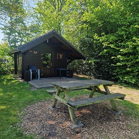 Camping Alkenhaer Appelscha Blokhut Basic Exteriér fotografie